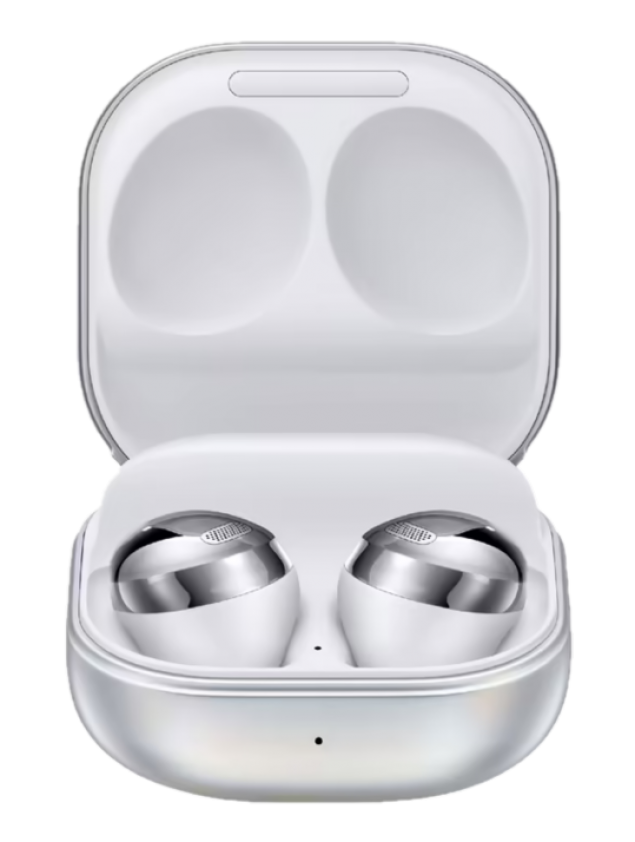 earbuds case silver